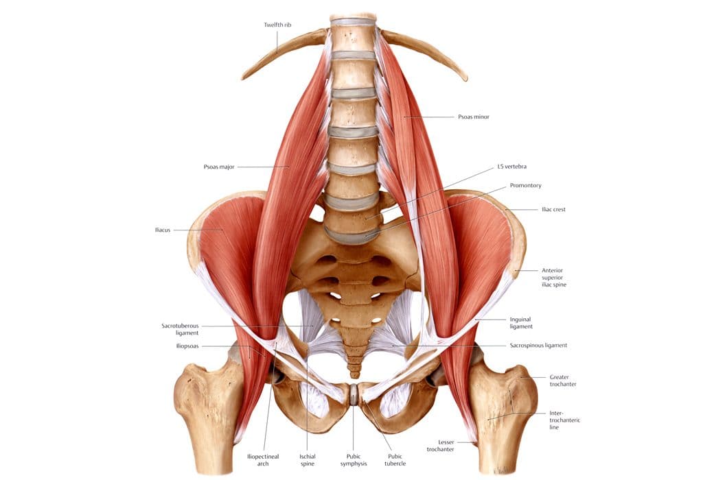 Psoas